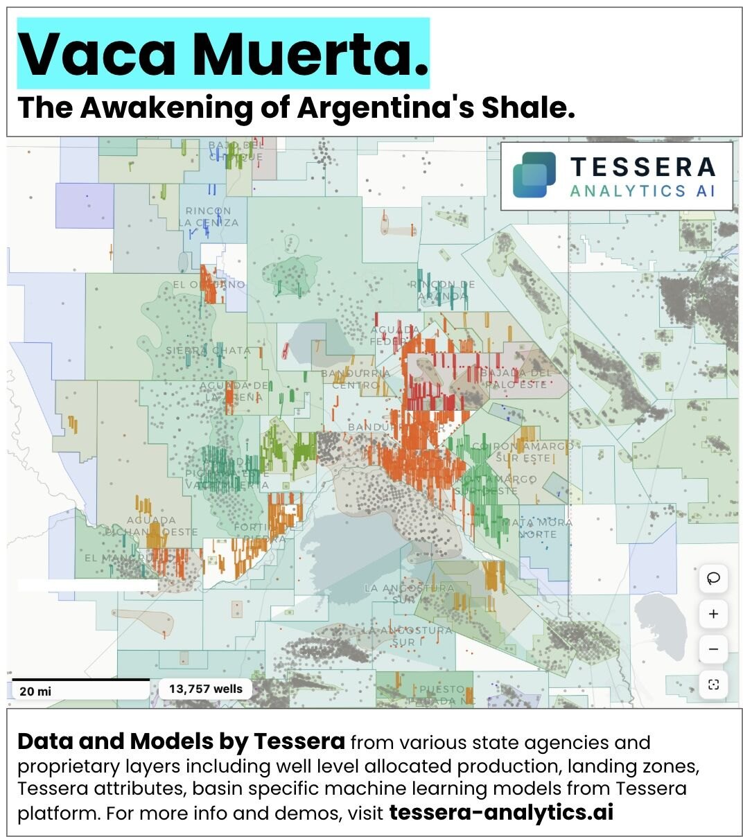 Map of Vaca Muerta wells and concessions in the Neuquen Basin